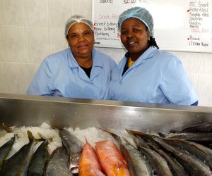 Gansbaai se Visvlekkers